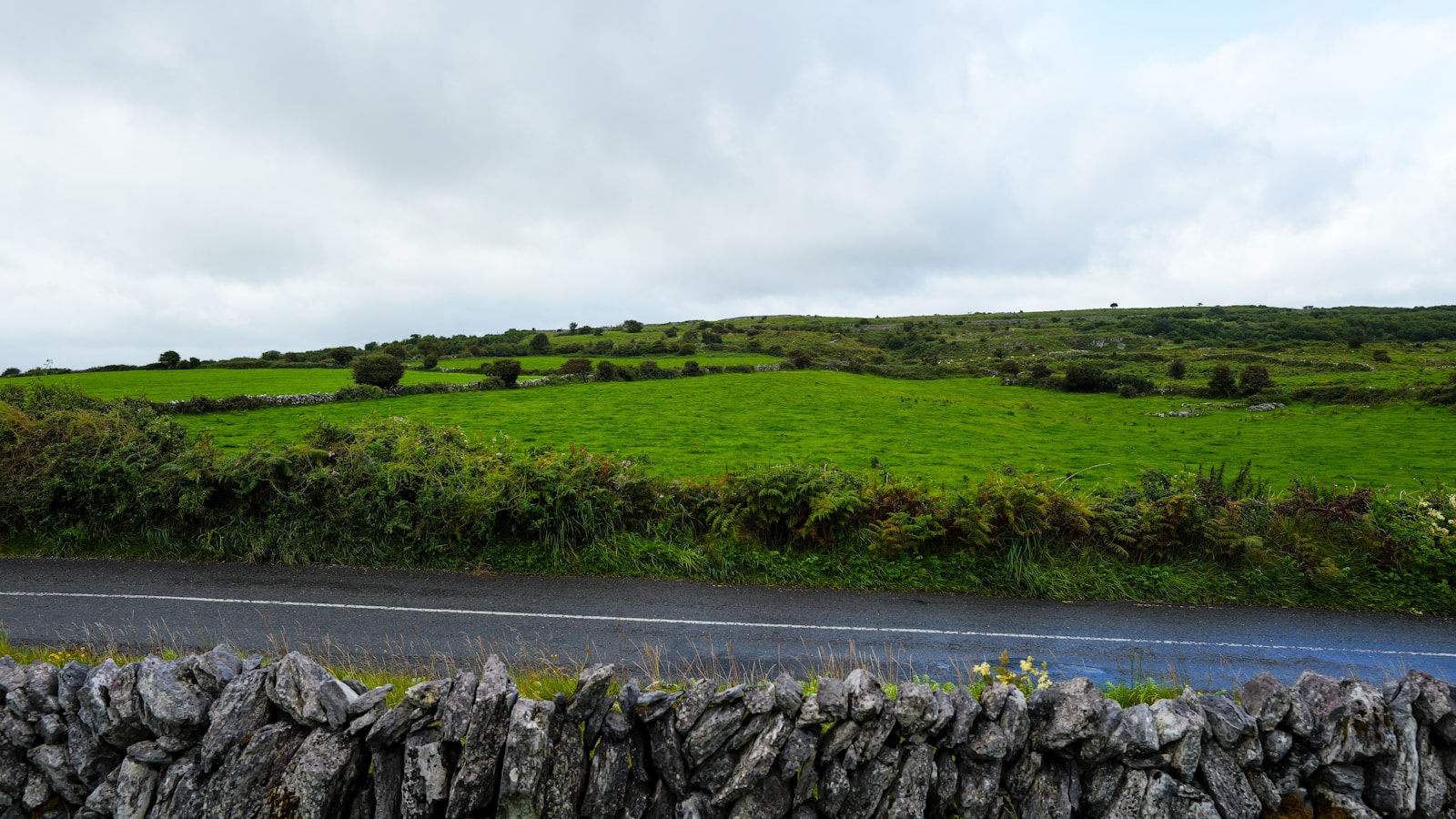 A country road winding through green rolling hills