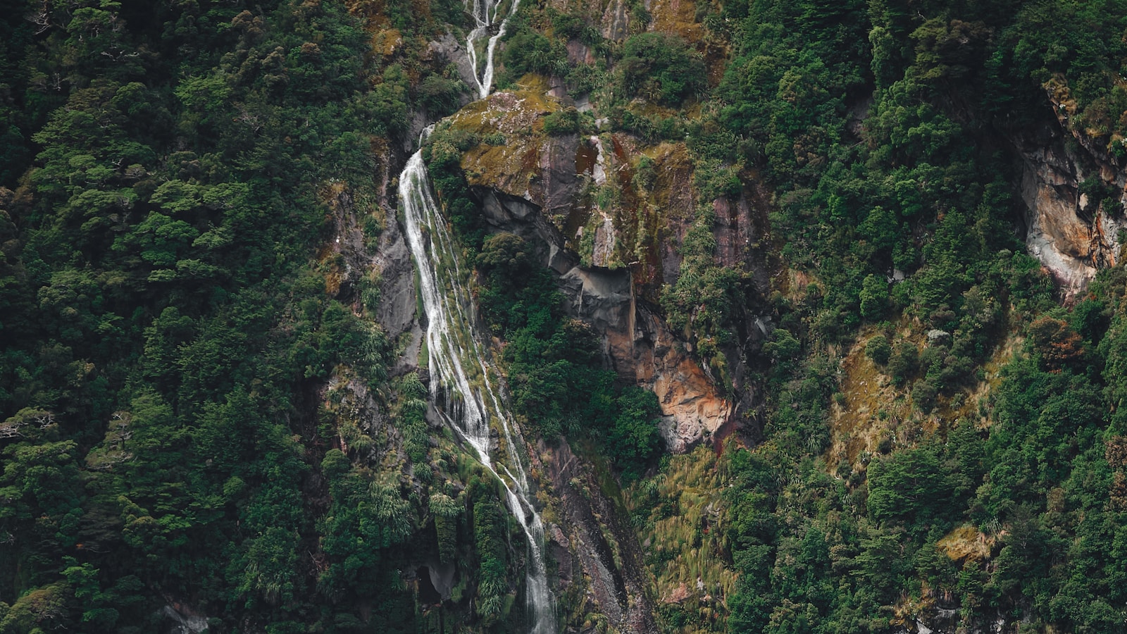 A waterfall cascading down a forested cliff
